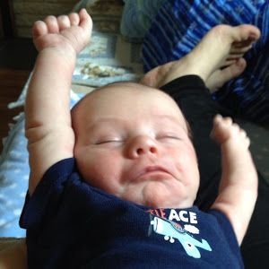 Profile Picture of Andrea Krinke (@@silverflail) on Tiktok