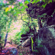 Profile Picture of Chad Zimmerman (@chadzimmerman1739) on Youtube