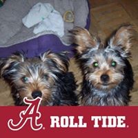 Profile Picture of James Randy Mccurry (@james-randy-mccurry) on Quora