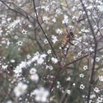 Profile Picture of Rae Stack (@r.a.e____) on Instagram