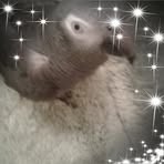 Lorrie Simpson - Facebook Profile Picture of Lorrie Simpson (@lorrie.simpson.39) on Facebook