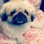 Profile Picture of Daryl Harden (@bagocereff) on Instagram