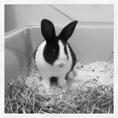 Profile Picture of Lorraine Keane (@girlkeane) on Twitter