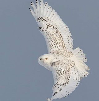 Profile Picture of Cindy Barrett (@cindy.barrett.988) on Facebook