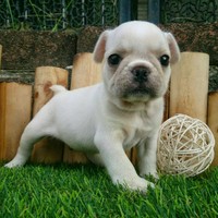 Profile Picture of Mike Shih (@mike-shih-2) on Quora