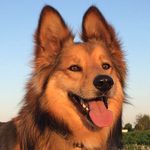 Profile Picture of Andrea Branchini BRANCA (@andreabranca74) on Instagram