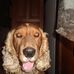 Profile Picture of Nancy Manfredi (@nancy.manfredi.18) on Facebook