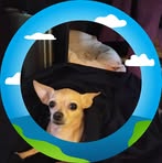 Profile Picture of Pamela R. Abell (@pamela.r.abell.2025) on Facebook