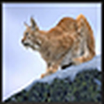 Profile Picture of Annita Logotheti (@annita logotheti) on Flickr