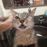 Profile Picture of Dawn Clark-plowman (@dawn_plowman) on Instagram