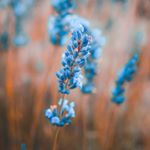 Profile Picture of Maurice Jensen Cruz (@samanthacruzmaurice) on Instagram