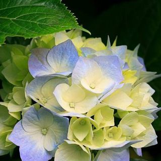 Profile Picture of Amy Sampurna (@Amy-Sampurna) on Facebook