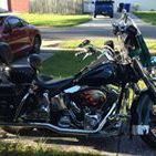 Profile Picture of Richard Hecksher (@richardhecksher) on Pinterest