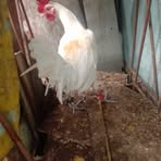 Profile Picture of Andrew Breeder (@Andrew-Breeder) on Facebook