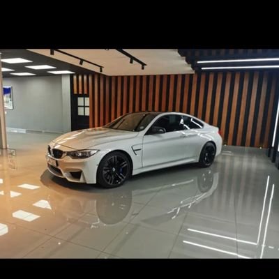 Profile Picture of Pelegreen (@Pelegreen4) on Twitter