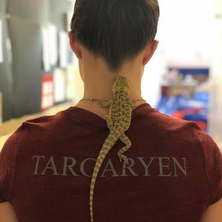 Profile Picture of Ace (@acekayda) on Tiktok