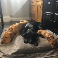 Profile Picture of Carolyn Manning (@carolyn-manning-33) on Quora