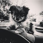 Profile Picture of Jamitate101 (@jamitate101) on Instagram