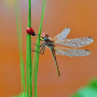 Profile Picture of Bobbie Stone (@BobbieS94944113) on Twitter