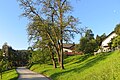 Profile Picture of Golica, Železnikion Wikipedia