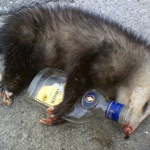 Profile Picture of Jenice P (@409115680) on Myspace