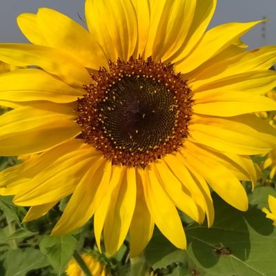 Profile Picture of Yin Oo Khaing (@YinooKhaing1) on Twitter