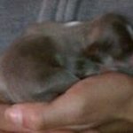 Profile Picture of Matthew Negrete (@matthew.negrete) on Instagram