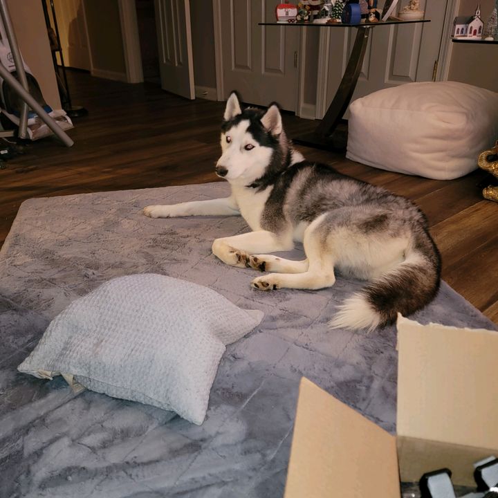 Profile Picture of Timothy Mccann (@timothymccann0) on Tiktok