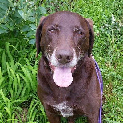 Profile Picture of David Jopson (@jopson_david) on Twitter