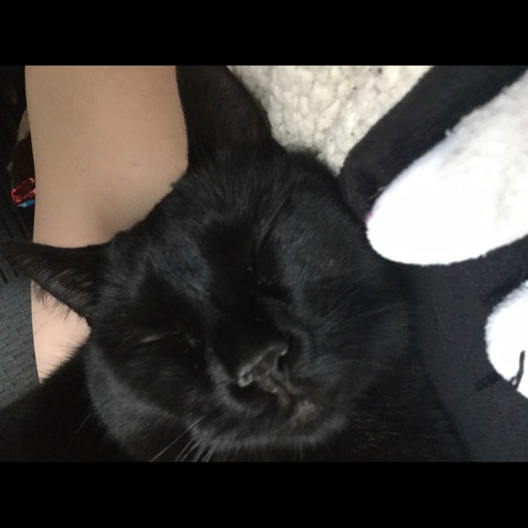 Profile Picture of Teresa Rosiak (@teesa99333) on Poshmark