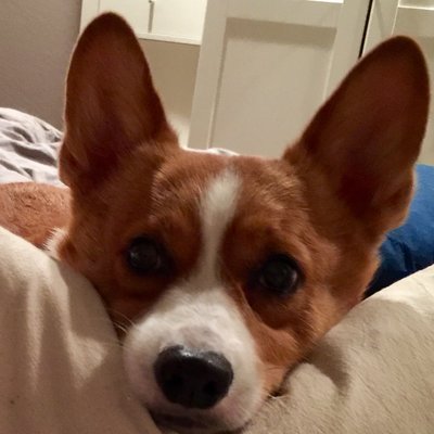 Profile Picture of Sean McMillen (@_SeanyMac_) on Twitter