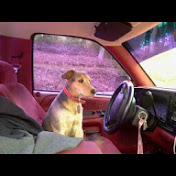 Profile Picture of Kaleb Steele (@kaleb4uk) on Youtube