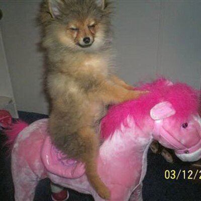 Profile Picture of Daryl McBride (@DarylMcBride1) on Twitter