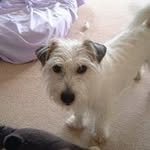 Profile Picture of Steve Gates (@steve_gates) on Instagram