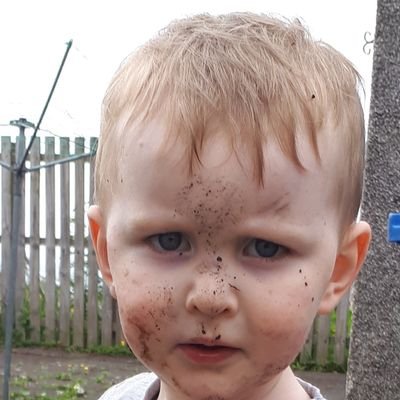 Profile Picture of Barry Shearer (@BarryShearer6) on Twitter