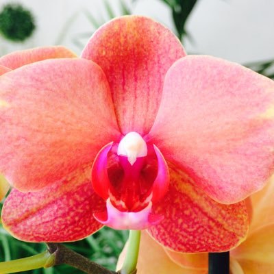 Profile Picture of Isabel (@alemany13) on Twitter