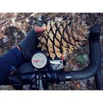 Profile Picture of cliffordholtz (@cliffordholtz) on Instagram