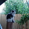 Profile Picture of user5287507969440 (@@timothyedmonds2) on Tiktok