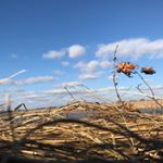 Profile Picture of Brendan Quinlan (@the_real_brenstagram) on Instagram