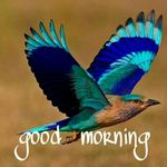 Profile Picture of viraj dave (@viraj_dave) on Instagram