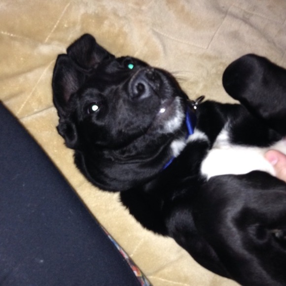 Profile Picture of Kristina Dolak (@naperkris) on Poshmark