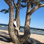 Profile Picture of William Österberg (@william.1337) on Instagram