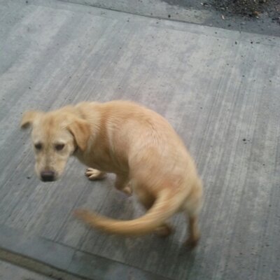 Profile Picture of Chris Pavey (@Jenkummaster) on Twitter