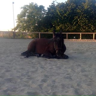 Profile Picture of Karin Werthmanns (@karin.werthmanns) on Facebook