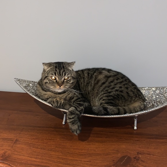 Profile Picture of Irina Kuznetsova (@ikuznetsova20) on Poshmark