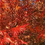 Profile Picture of Jacqueline Fisbeck (@Jacqueline-Fisbeck) on Facebook