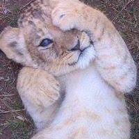 Profile Picture of Harmony Phillips (@harmony.phillips.94) on Facebook