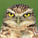 Profile Picture of John Frederick (@jfrederick25) on Flickr