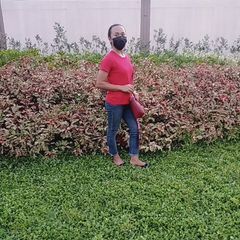 Profile Picture of josephbasino (@josephbasino) on Tiktok