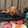 Profile Picture of barrywildin239 (@barrywildin239) on Tiktok